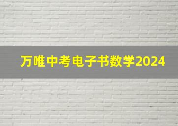 万唯中考电子书数学2024