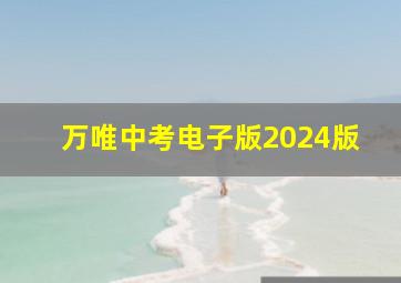 万唯中考电子版2024版