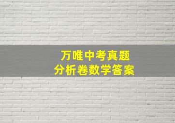 万唯中考真题分析卷数学答案