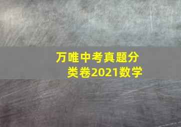 万唯中考真题分类卷2021数学