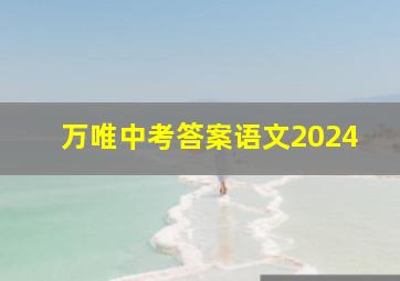 万唯中考答案语文2024