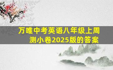 万唯中考英语八年级上周测小卷2025版的答案