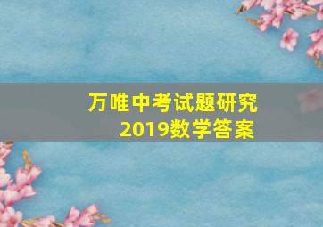 万唯中考试题研究2019数学答案