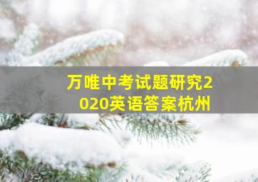 万唯中考试题研究2020英语答案杭州