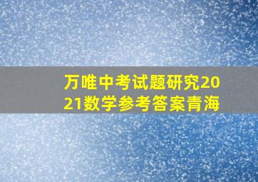 万唯中考试题研究2021数学参考答案青海