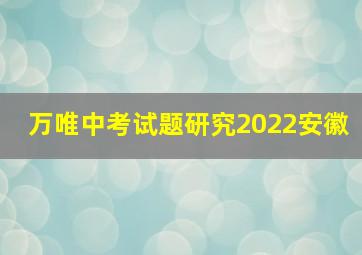 万唯中考试题研究2022安徽