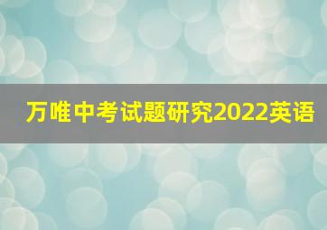 万唯中考试题研究2022英语