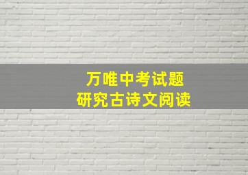 万唯中考试题研究古诗文阅读