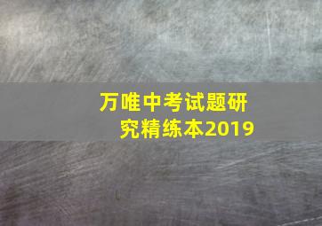 万唯中考试题研究精练本2019