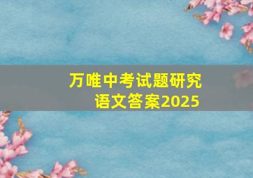 万唯中考试题研究语文答案2025