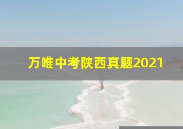 万唯中考陕西真题2021