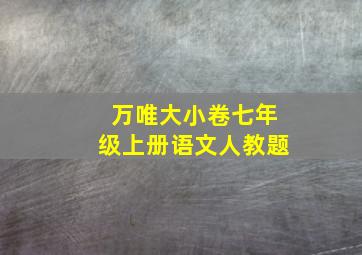 万唯大小卷七年级上册语文人教题