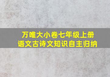 万唯大小卷七年级上册语文古诗文知识自主归纳