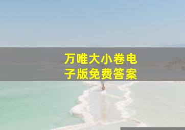 万唯大小卷电子版免费答案