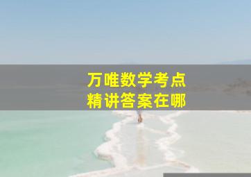 万唯数学考点精讲答案在哪