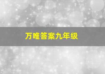 万唯答案九年级