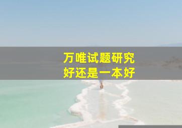 万唯试题研究好还是一本好