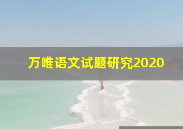 万唯语文试题研究2020