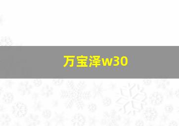 万宝泽w30