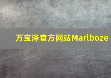 万宝泽官方网站Marlboze