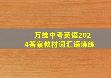 万维中考英语2024答案教材词汇语境练