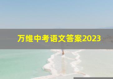 万维中考语文答案2023