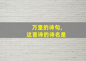 万里的诗句,这首诗的诗名是