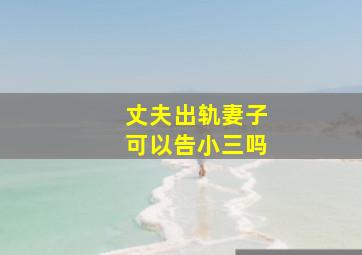 丈夫出轨妻子可以告小三吗