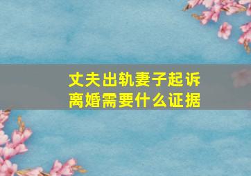 丈夫出轨妻子起诉离婚需要什么证据