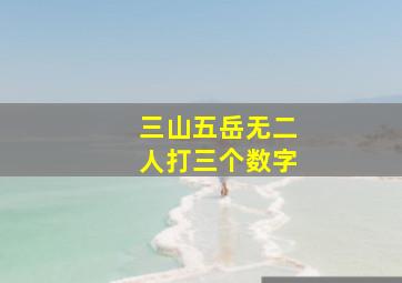 三山五岳无二人打三个数字