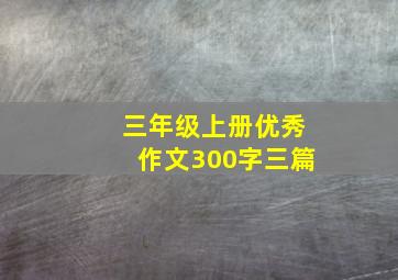 三年级上册优秀作文300字三篇