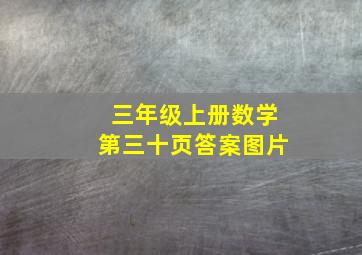 三年级上册数学第三十页答案图片