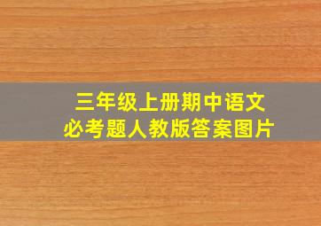 三年级上册期中语文必考题人教版答案图片