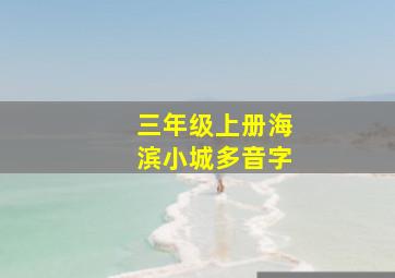 三年级上册海滨小城多音字