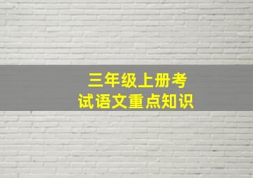 三年级上册考试语文重点知识