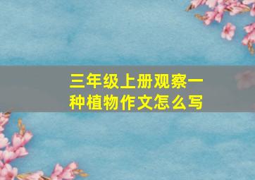 三年级上册观察一种植物作文怎么写