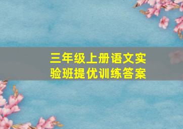 三年级上册语文实验班提优训练答案