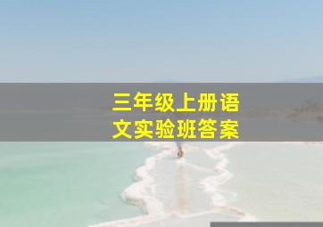 三年级上册语文实验班答案