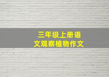 三年级上册语文观察植物作文