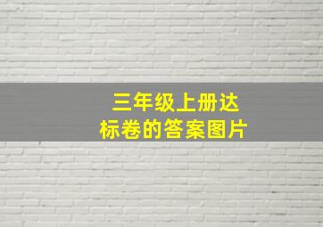 三年级上册达标卷的答案图片