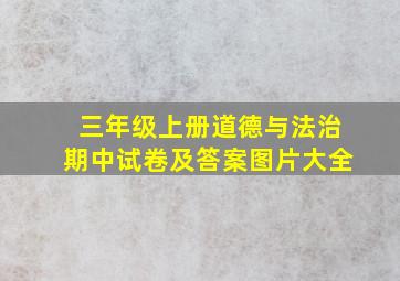 三年级上册道德与法治期中试卷及答案图片大全