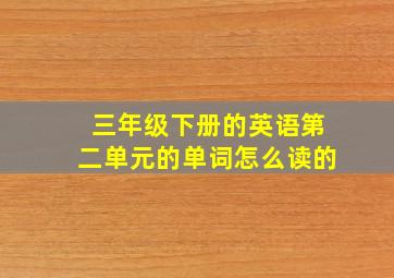 三年级下册的英语第二单元的单词怎么读的