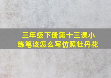 三年级下册第十三课小练笔该怎么写仿照牡丹花