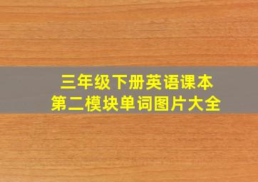 三年级下册英语课本第二模块单词图片大全