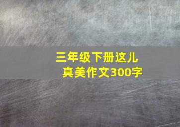 三年级下册这儿真美作文300字