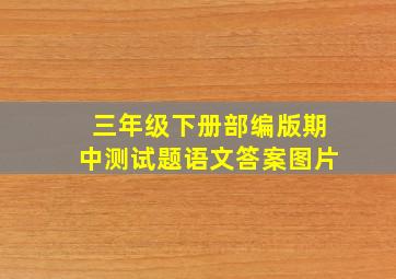 三年级下册部编版期中测试题语文答案图片