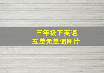 三年级下英语五单元单词图片