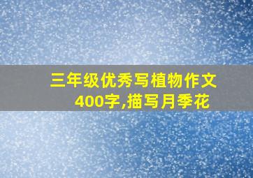 三年级优秀写植物作文400字,描写月季花