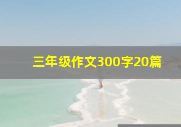 三年级作文300字20篇