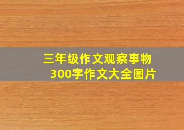 三年级作文观察事物300字作文大全图片